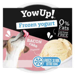 YowUp! Frozen Yoghurt Bacon Cake